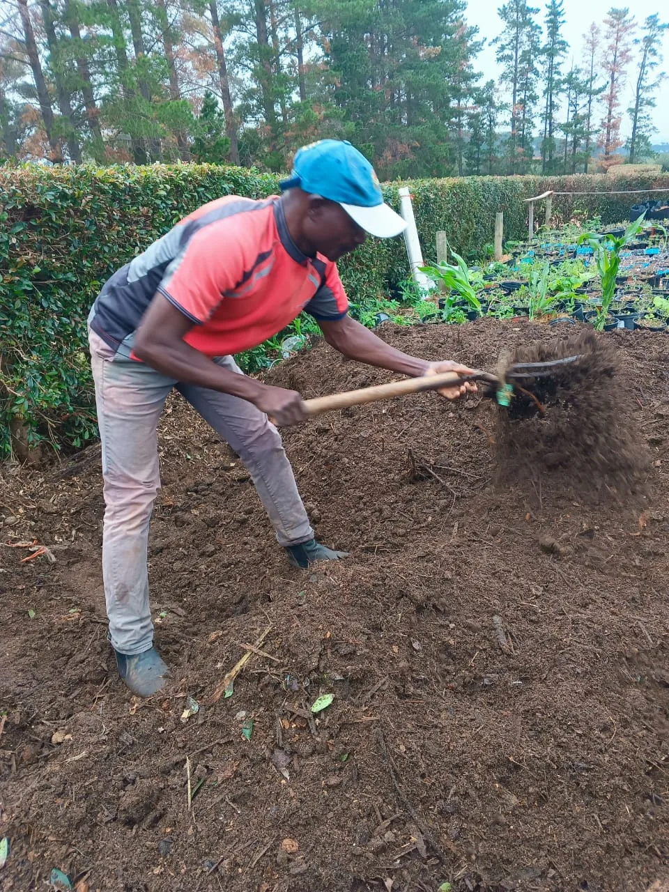 Green Finger landscaping and compost work